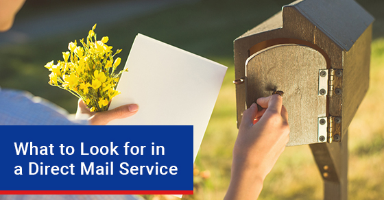 What to Look for in a Direct Mail Service